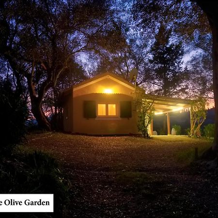 شقة House In The Olive Garden Ágios Ioánnis المظهر الخارجي الصورة