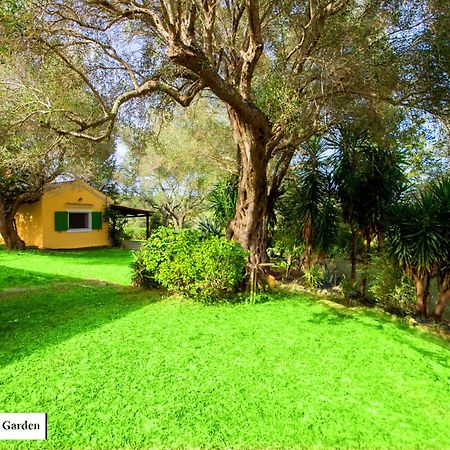 شقة House In The Olive Garden Ágios Ioánnis المظهر الخارجي الصورة