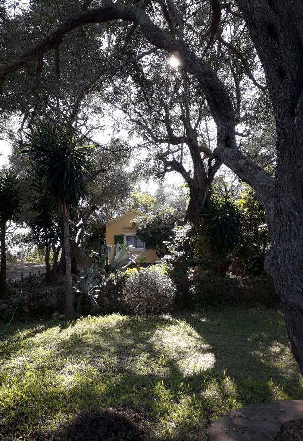 شقة House In The Olive Garden Ágios Ioánnis المظهر الخارجي الصورة