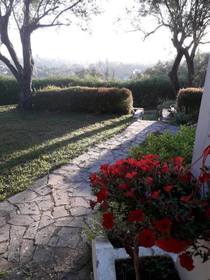 شقة House In The Olive Garden Ágios Ioánnis المظهر الخارجي الصورة