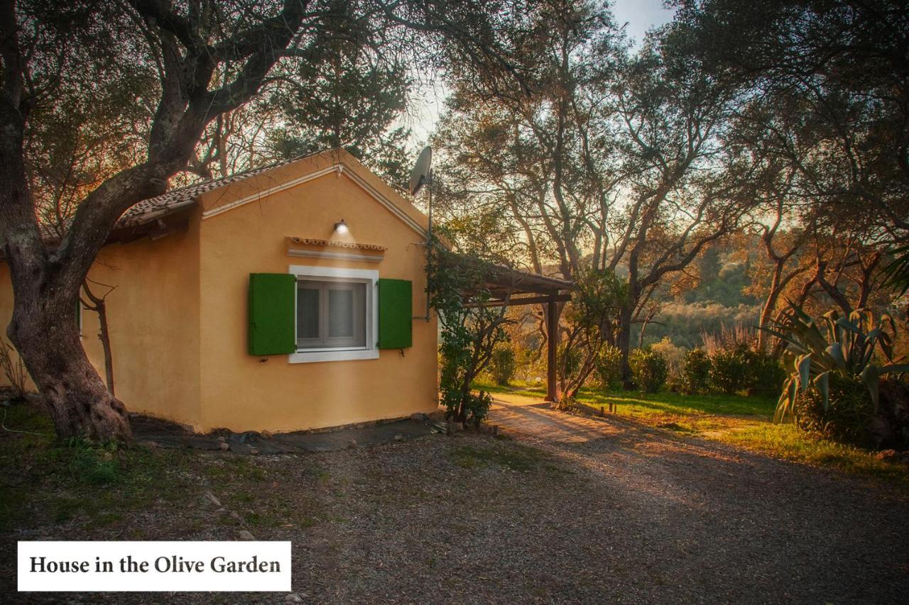 شقة House In The Olive Garden Ágios Ioánnis المظهر الخارجي الصورة