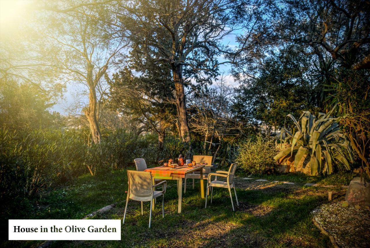 شقة House In The Olive Garden Ágios Ioánnis المظهر الخارجي الصورة