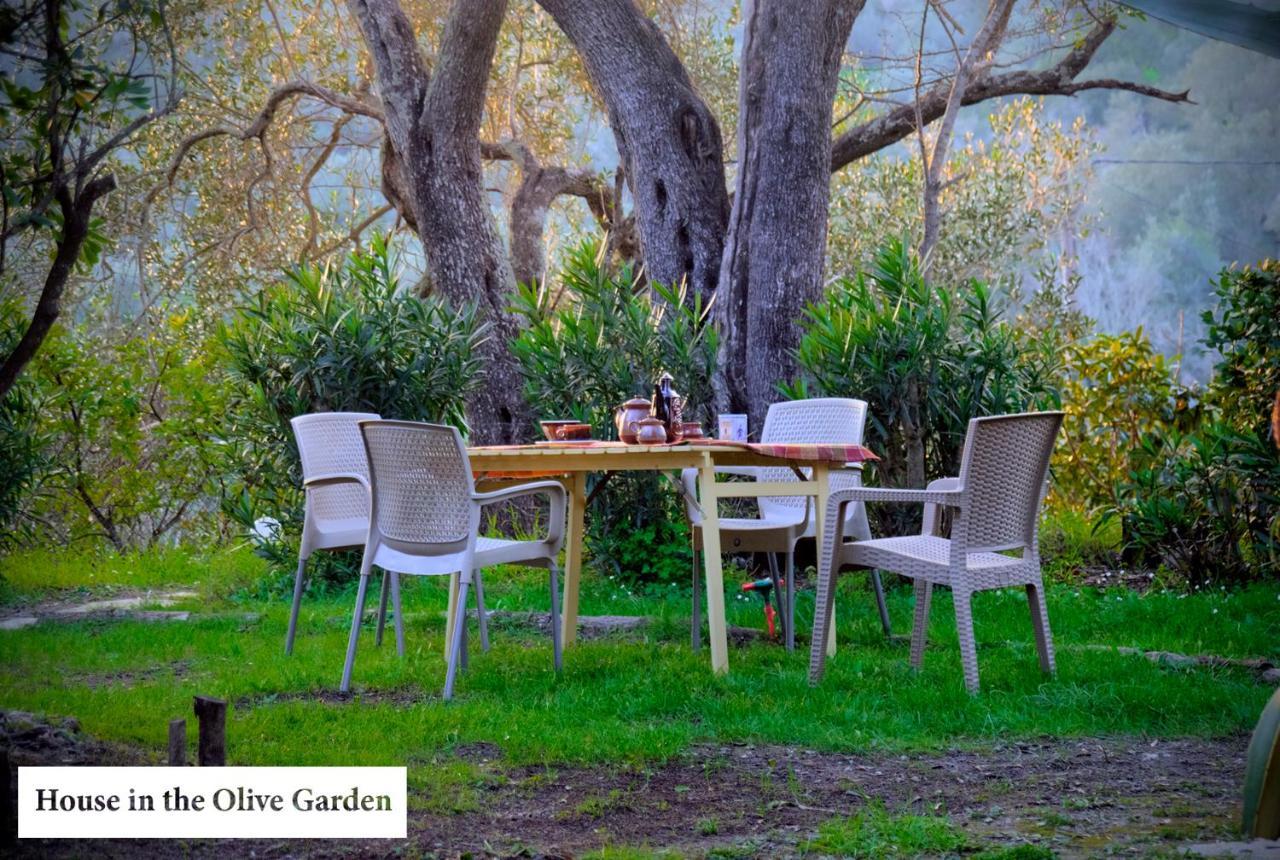 شقة House In The Olive Garden Ágios Ioánnis المظهر الخارجي الصورة