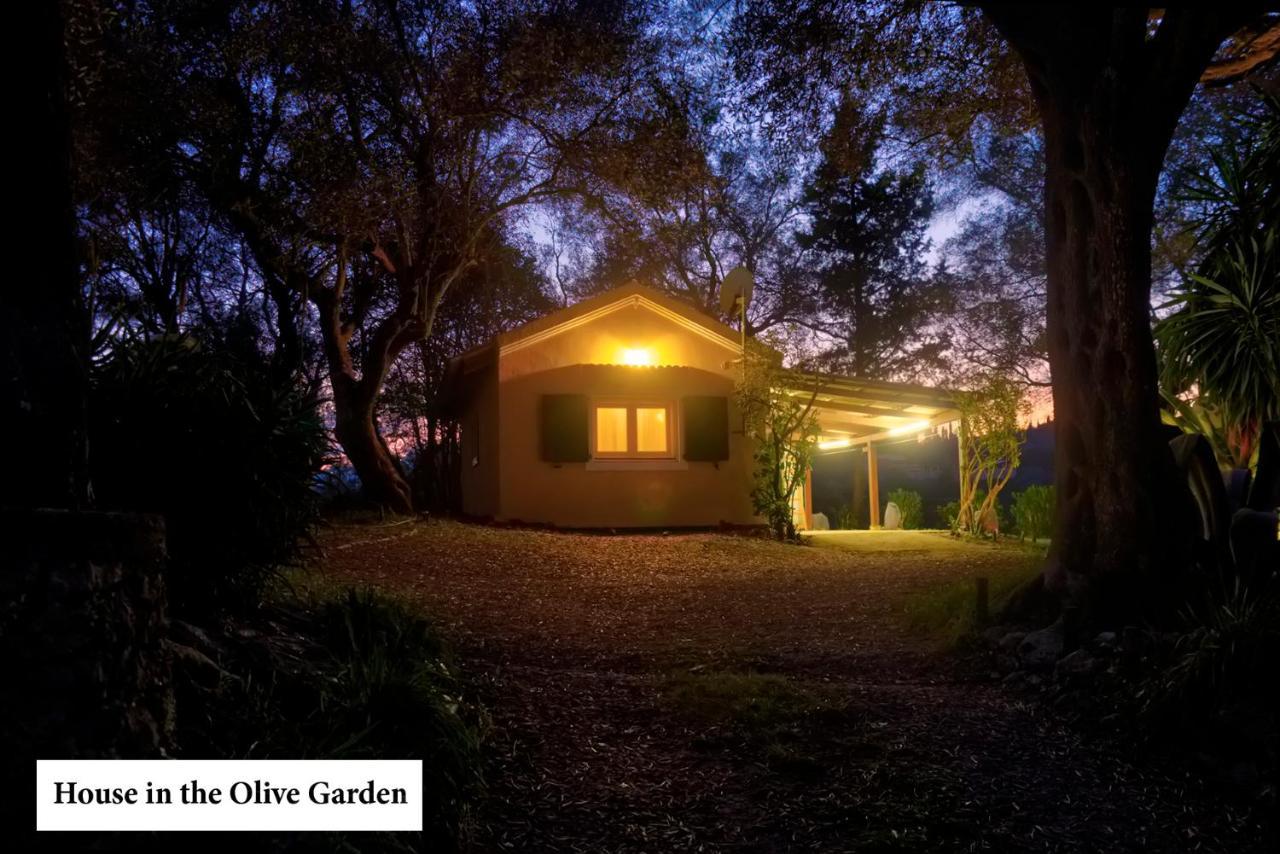 شقة House In The Olive Garden Ágios Ioánnis المظهر الخارجي الصورة