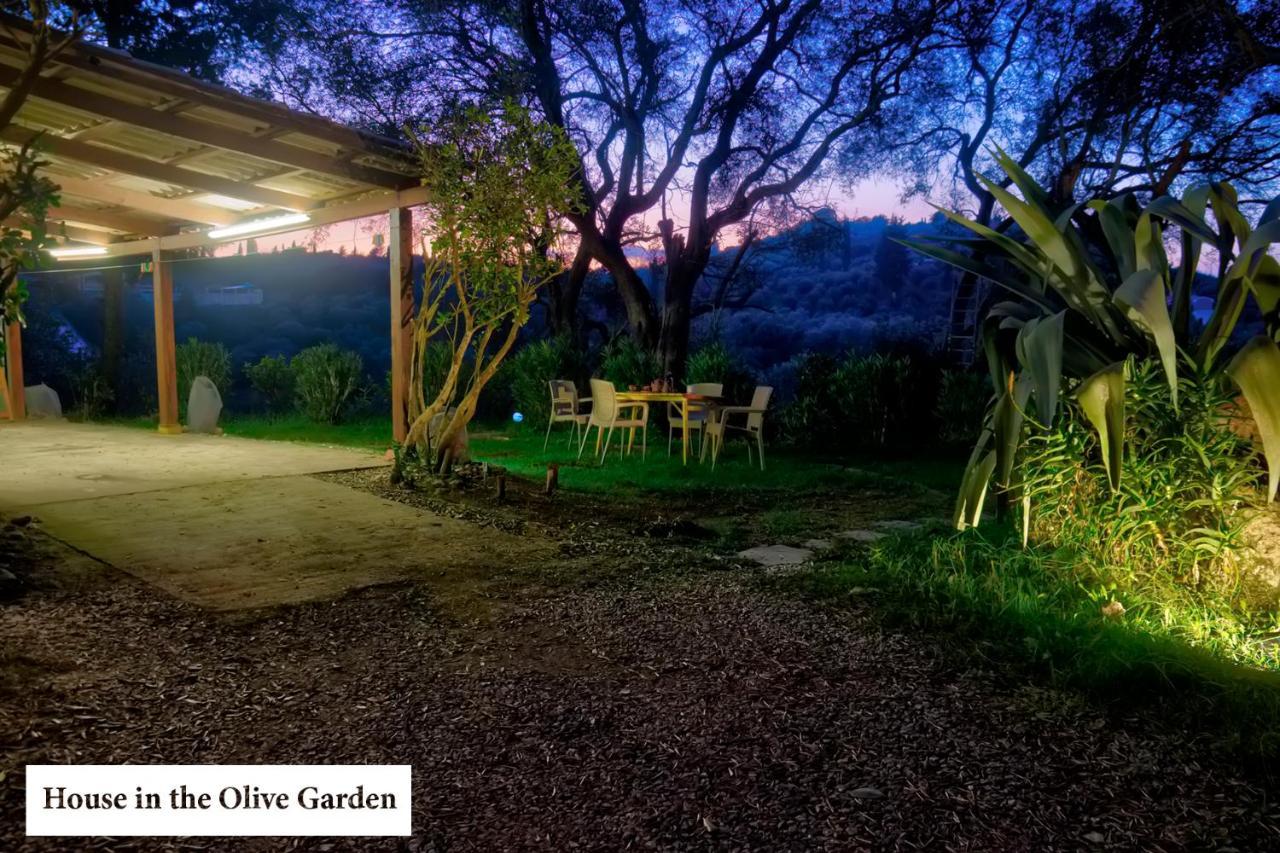 شقة House In The Olive Garden Ágios Ioánnis المظهر الخارجي الصورة