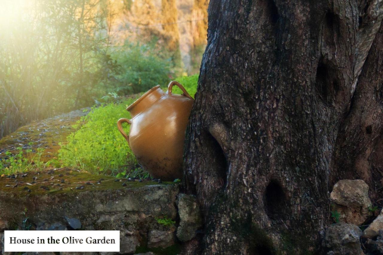 شقة House In The Olive Garden Ágios Ioánnis المظهر الخارجي الصورة