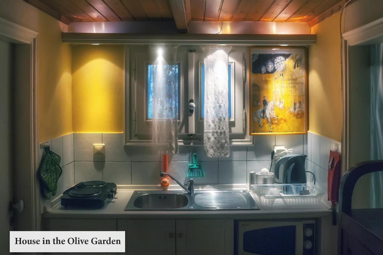 شقة House In The Olive Garden Ágios Ioánnis المظهر الخارجي الصورة