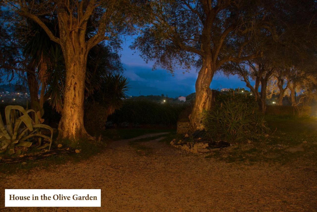 شقة House In The Olive Garden Ágios Ioánnis المظهر الخارجي الصورة