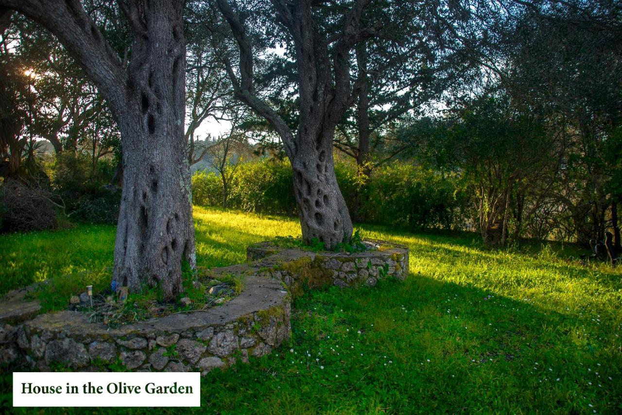 شقة House In The Olive Garden Ágios Ioánnis المظهر الخارجي الصورة