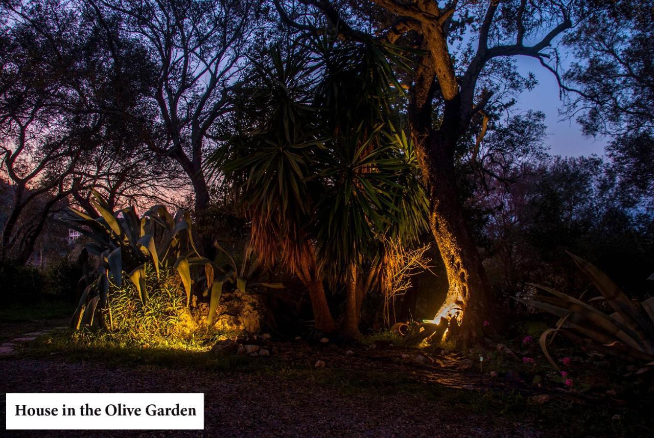 شقة House In The Olive Garden Ágios Ioánnis المظهر الخارجي الصورة