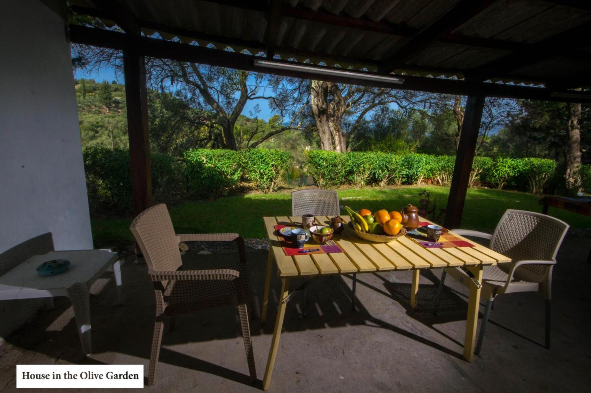 شقة House In The Olive Garden Ágios Ioánnis المظهر الخارجي الصورة