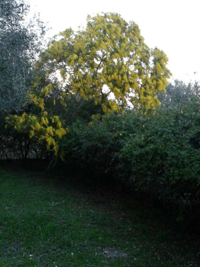 شقة House In The Olive Garden Ágios Ioánnis المظهر الخارجي الصورة