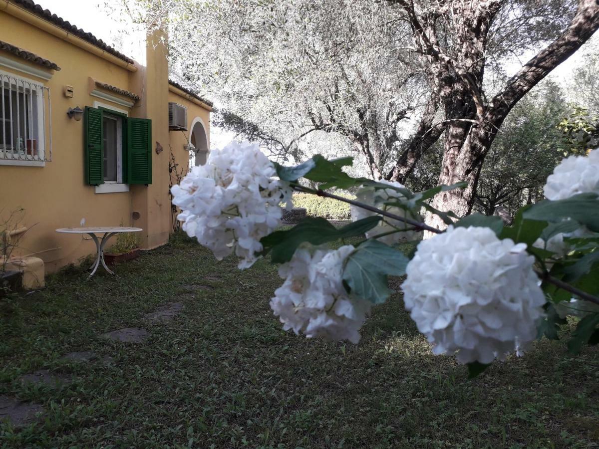 شقة House In The Olive Garden Ágios Ioánnis المظهر الخارجي الصورة