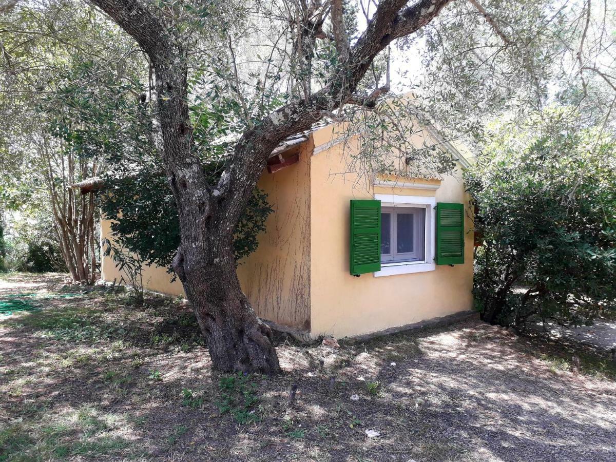 شقة House In The Olive Garden Ágios Ioánnis المظهر الخارجي الصورة