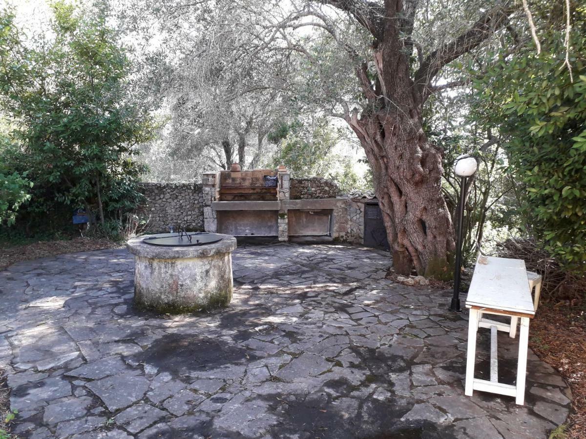 شقة House In The Olive Garden Ágios Ioánnis المظهر الخارجي الصورة