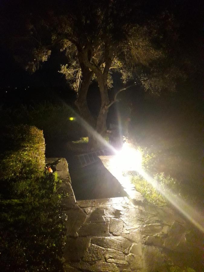 شقة House In The Olive Garden Ágios Ioánnis المظهر الخارجي الصورة